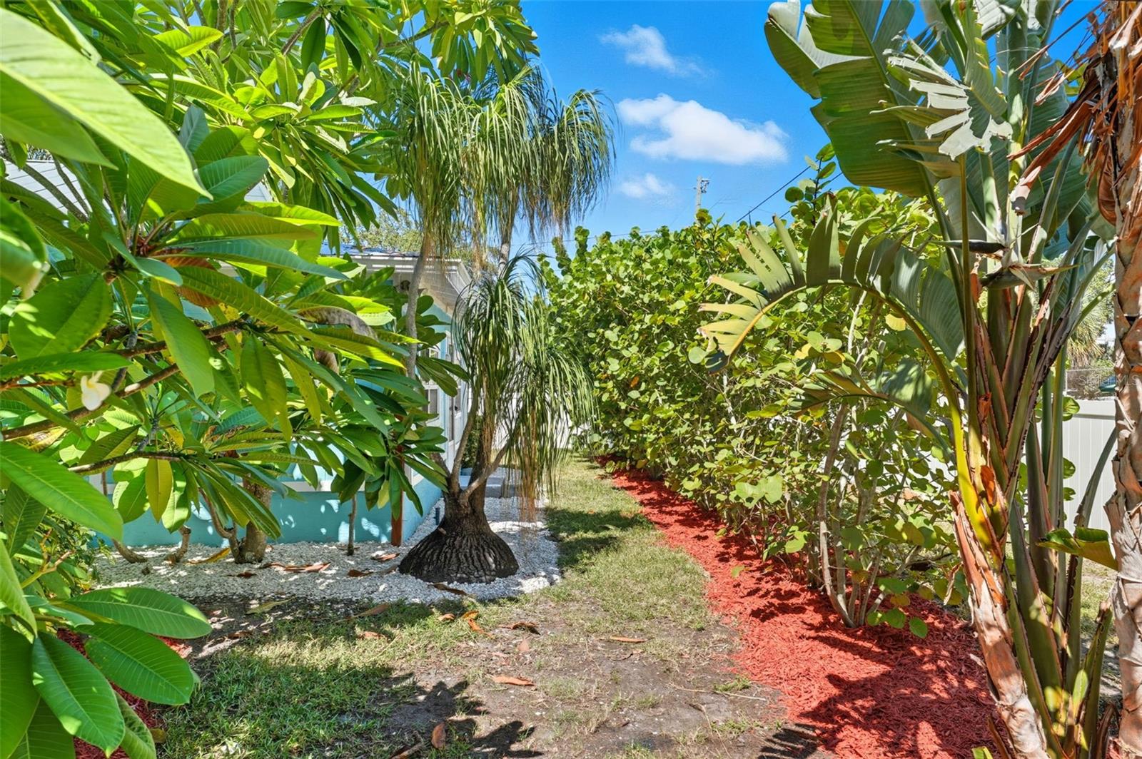 A lushly landscaped walkway framed with red mulch and mature palms leading toward the patio.