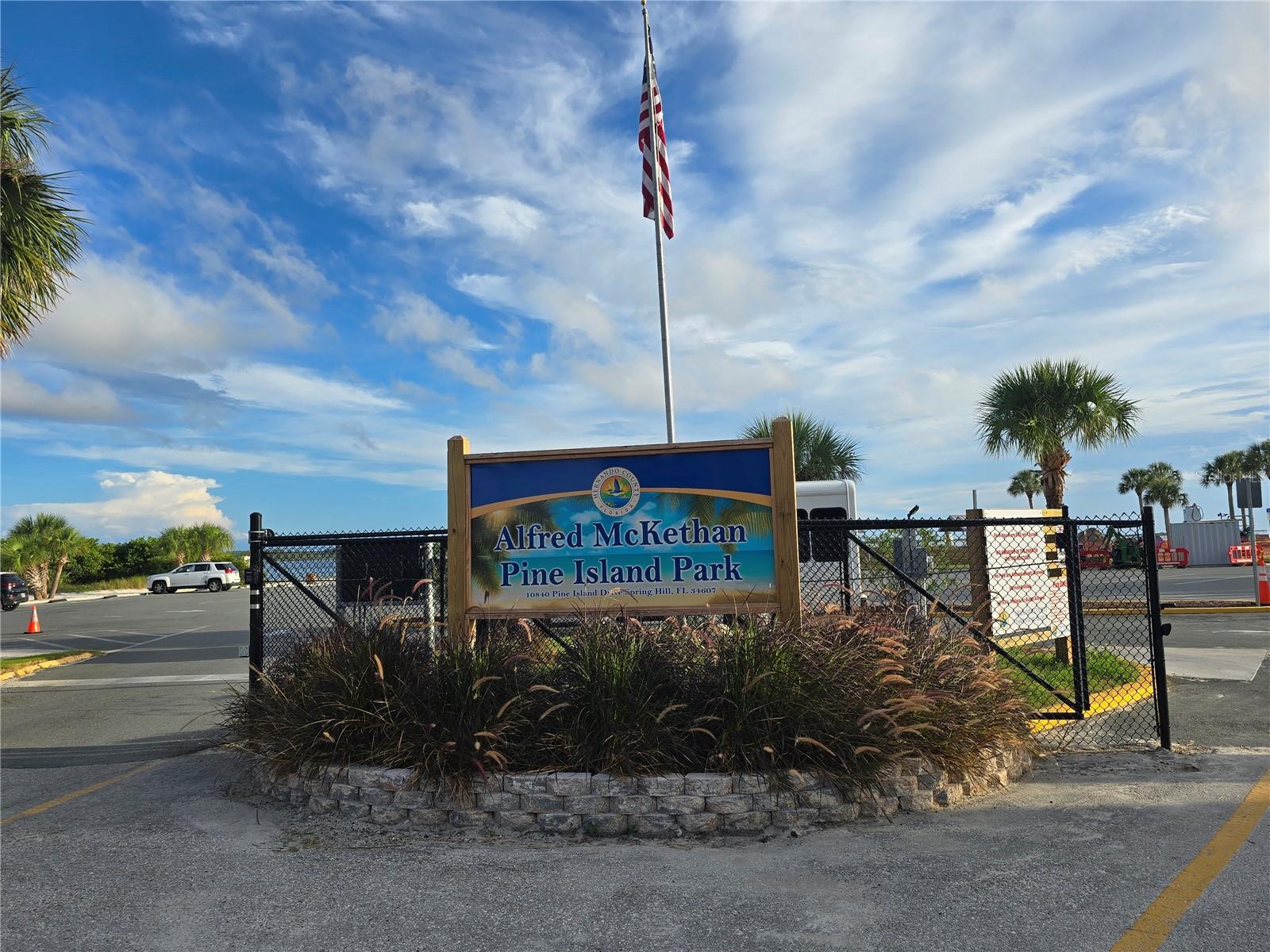PINE ISLAND