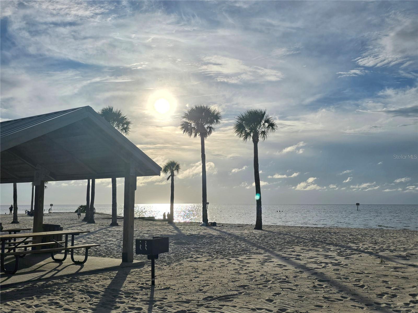 PINE ISLAND