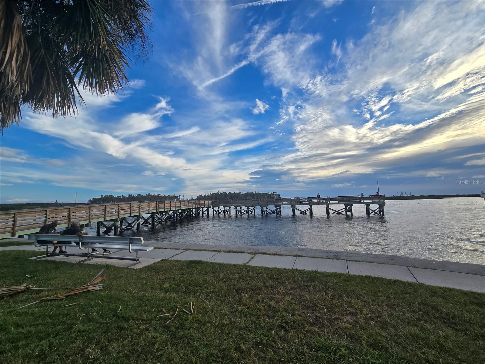 BAYPORT PIER-GREAT FOR FISHING OR DOLPHIN AND MANATEE VIEWING!