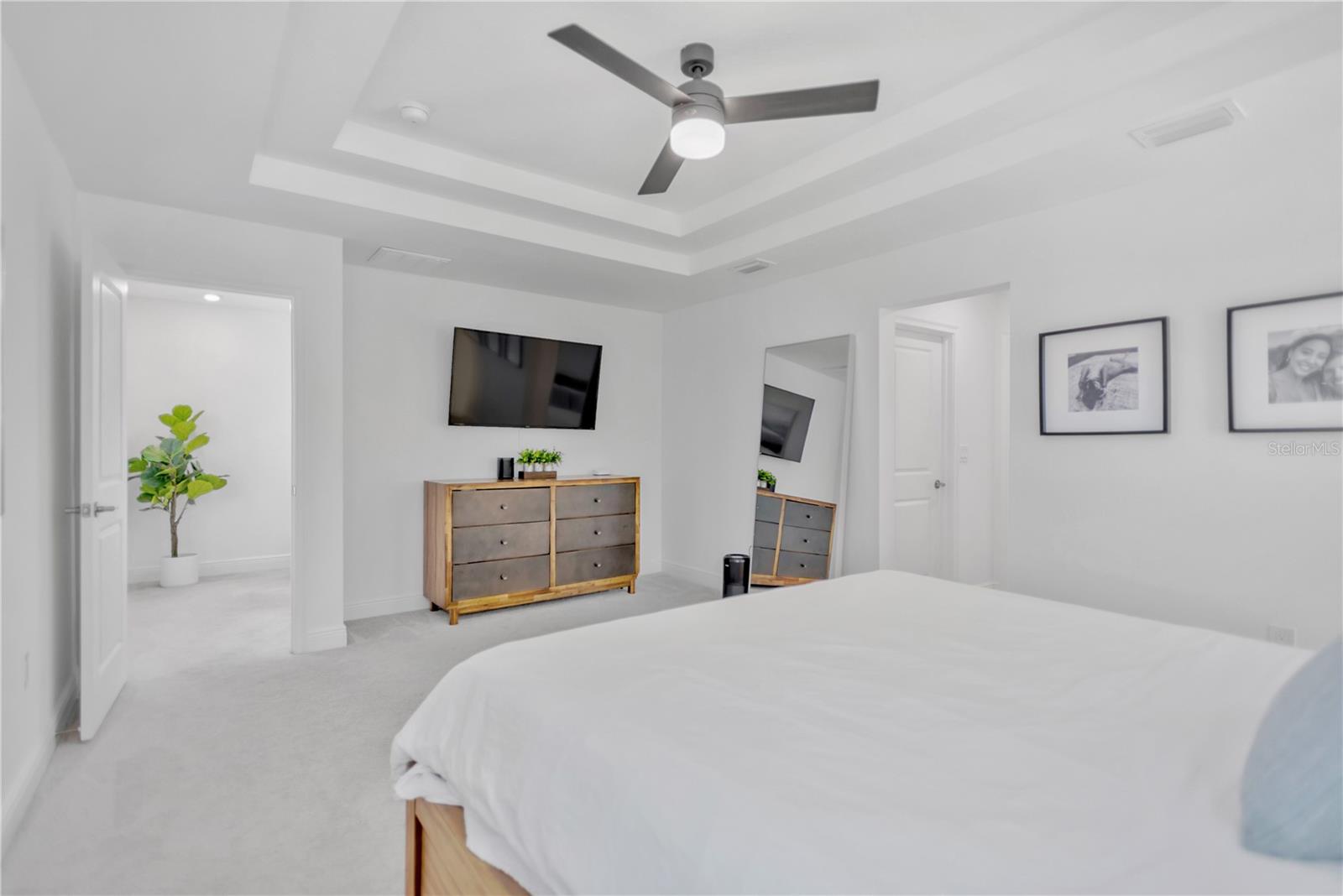 Beautiful tray ceiling