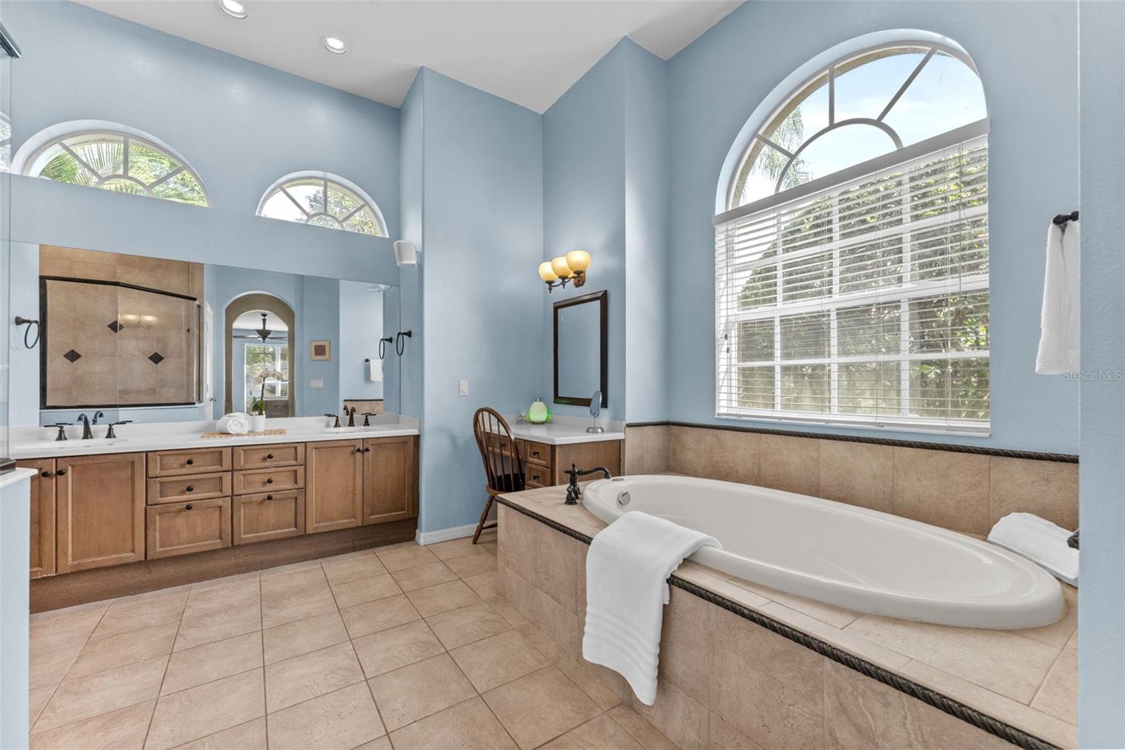 Spa Inspired Primary Bathroom