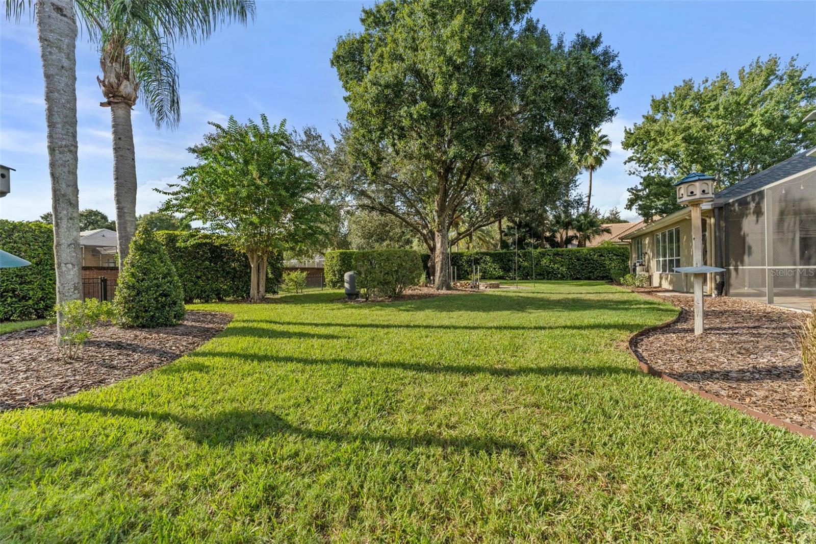 Massive Yard and there is More