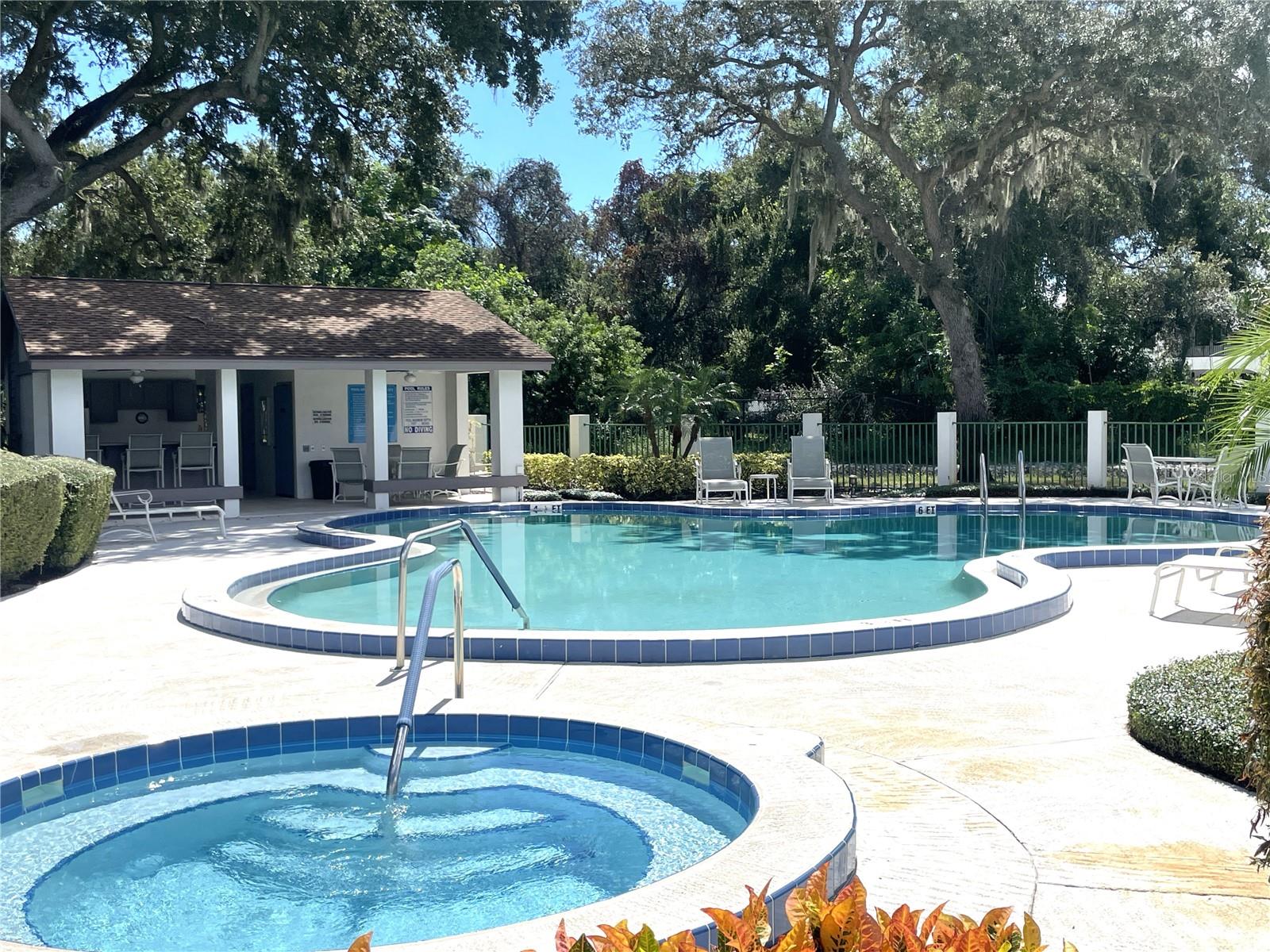 Community pool and spa