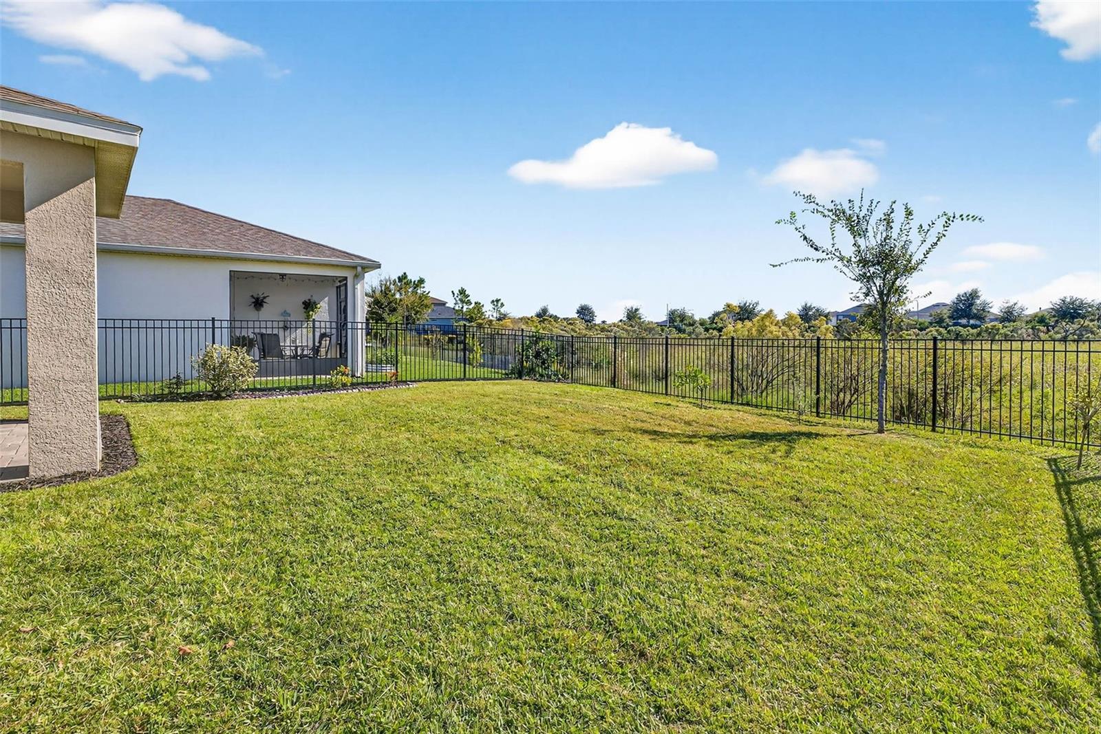 Backyard view toward house
