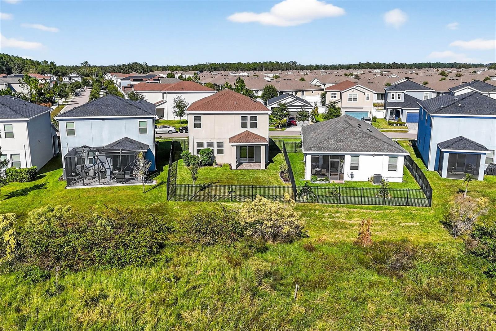 Thank you for visiting-