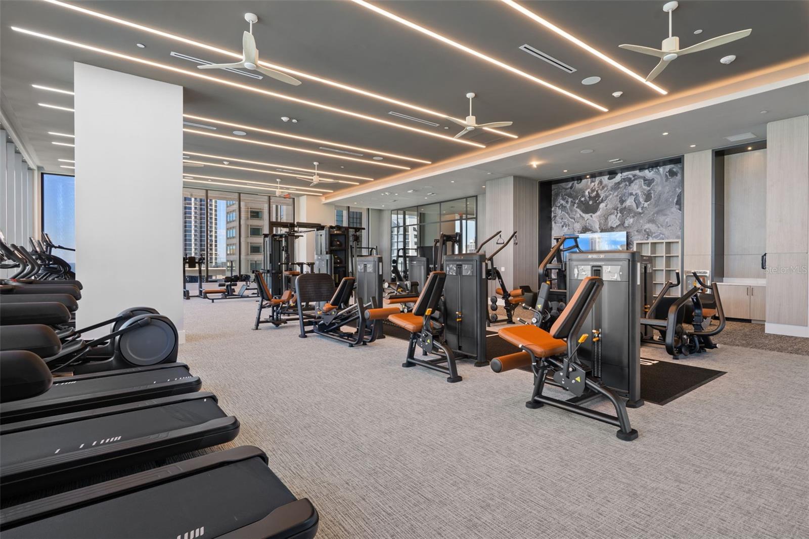 Weights and Cardio in Abundance