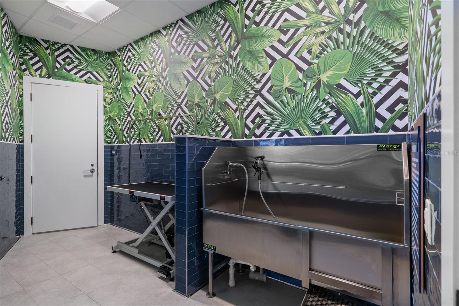 Dog Grooming Station