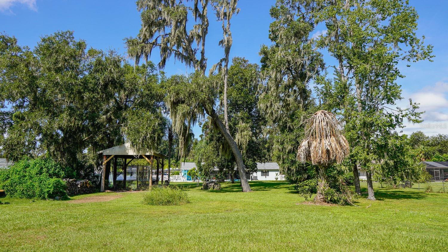 Back yard