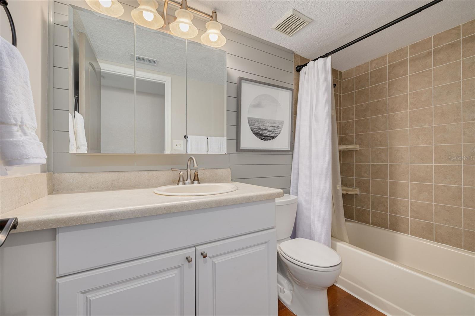 Hallway Bathroom with Shiplap Siding and Large Vanity