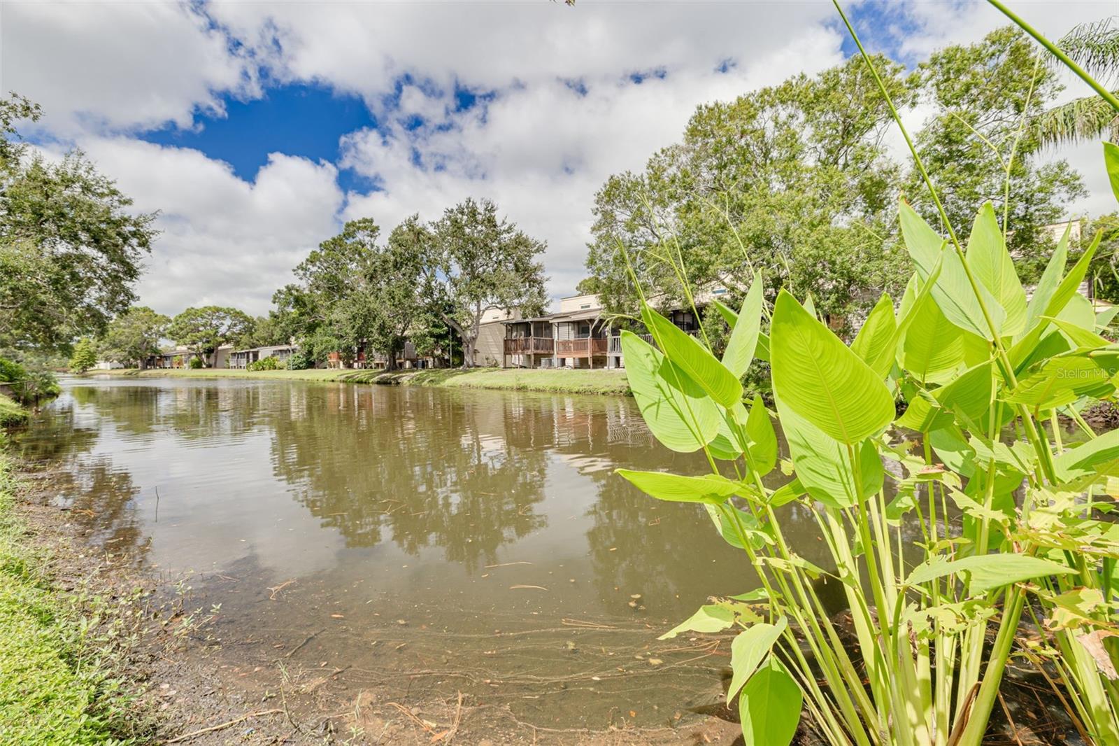 Lake across from unit