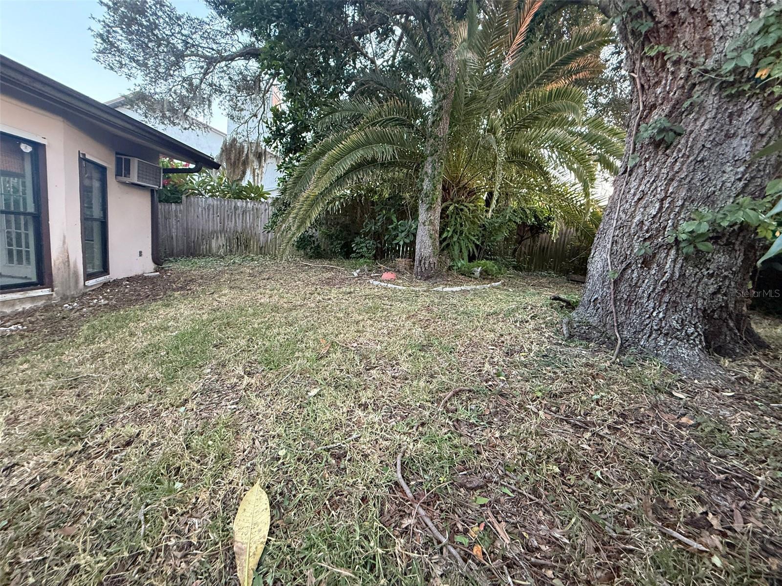 Yard view