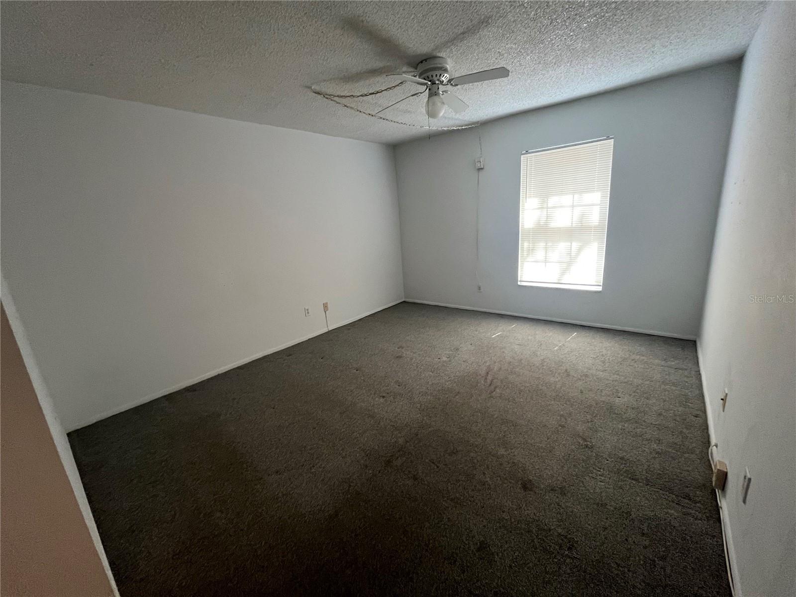 Great size Primary bedroom