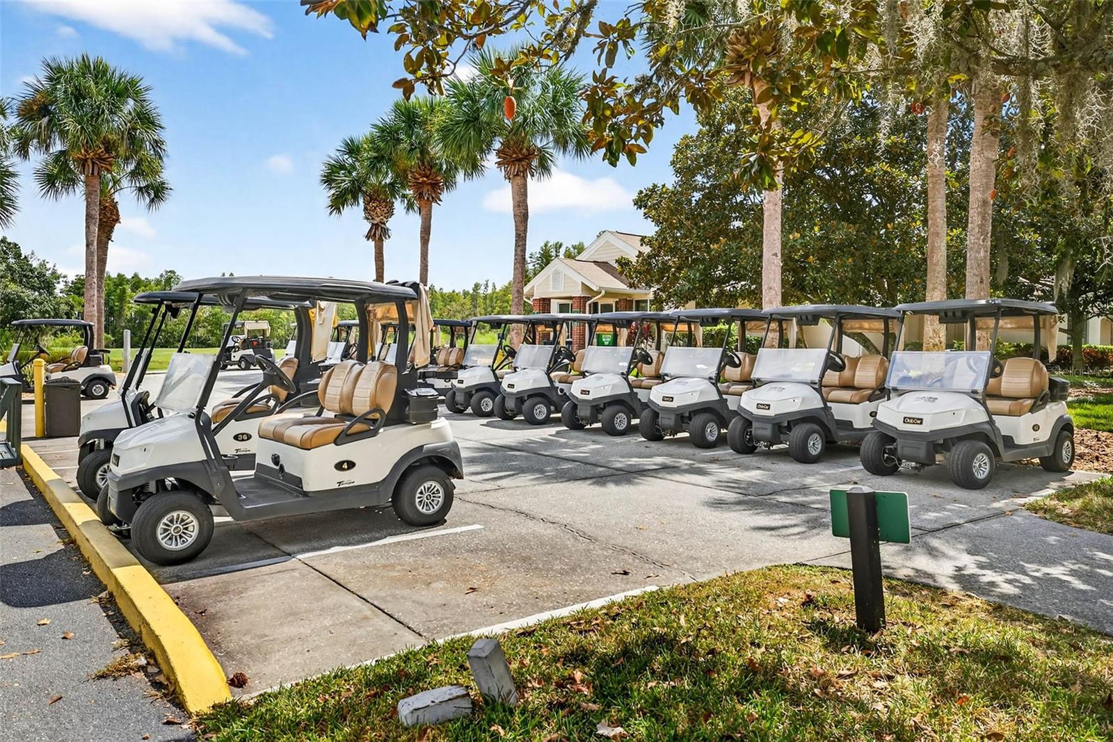 Golf Cart Community