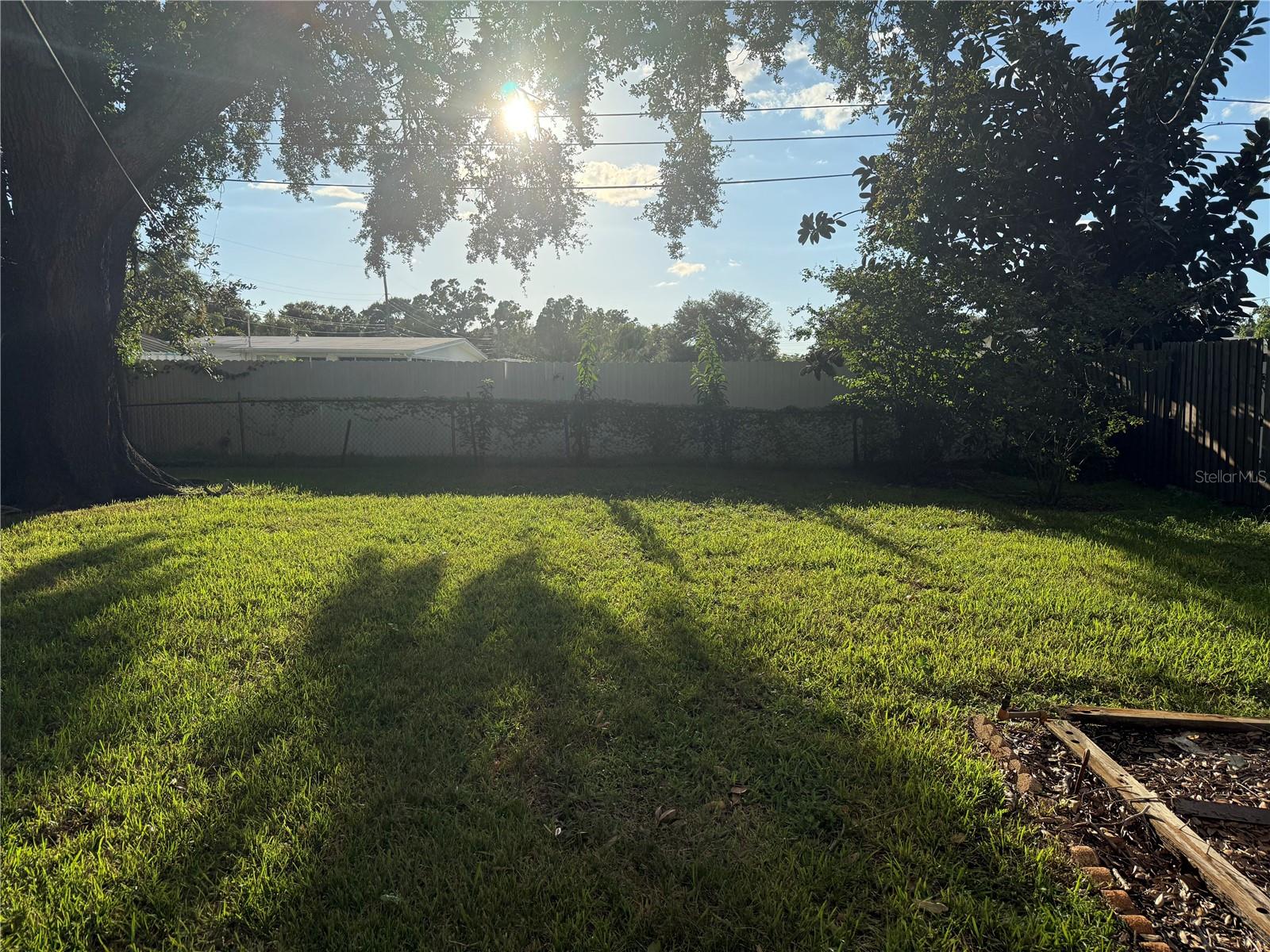 Back Yard