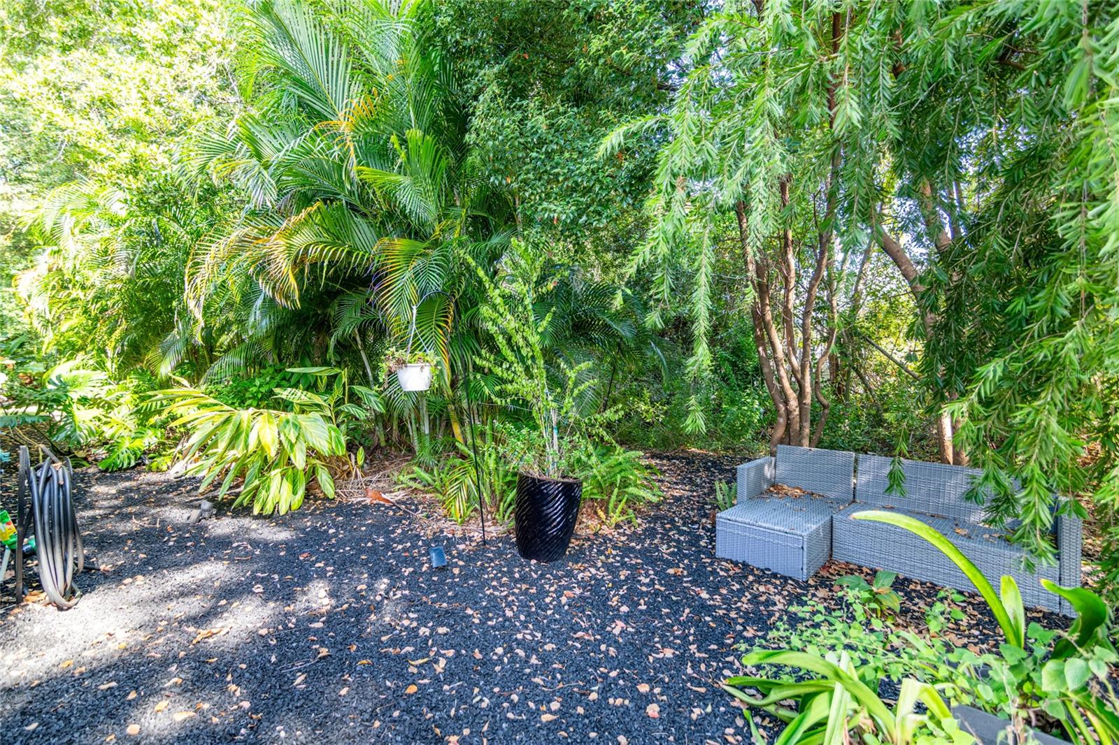 VIEW OF GREENERY