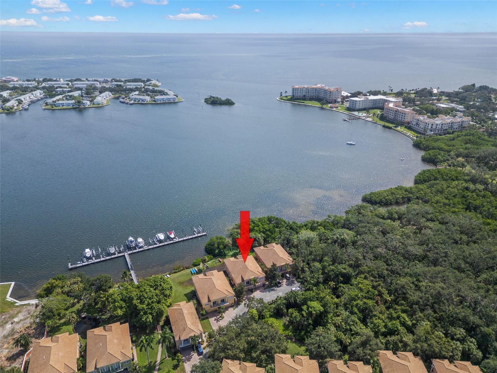 Little Bayou View
