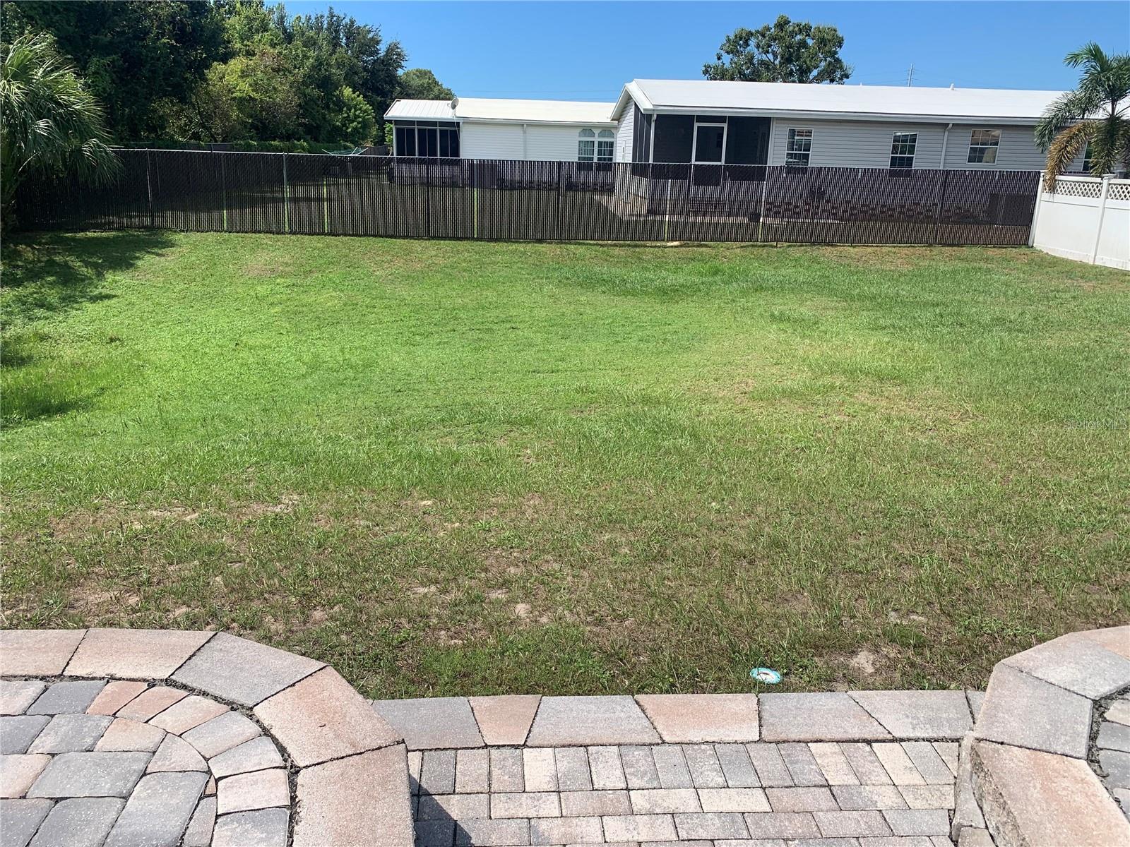 back yard