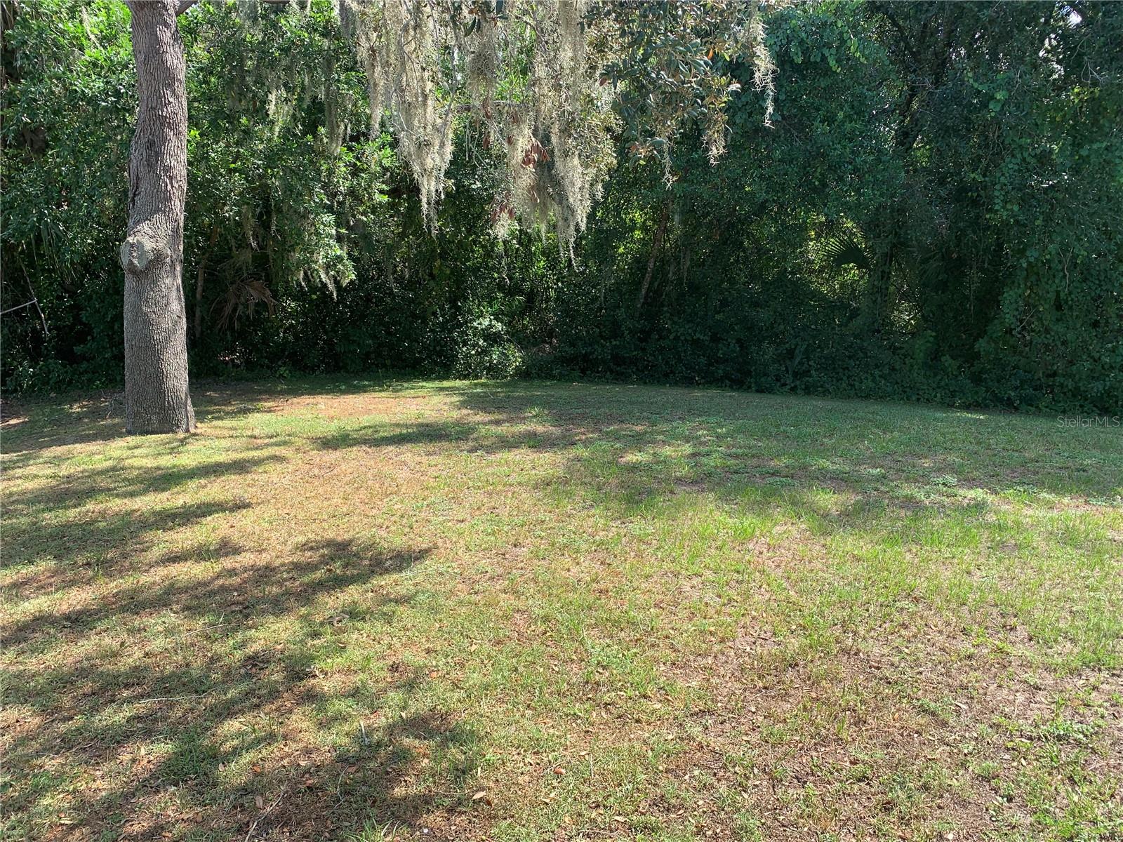 front yard