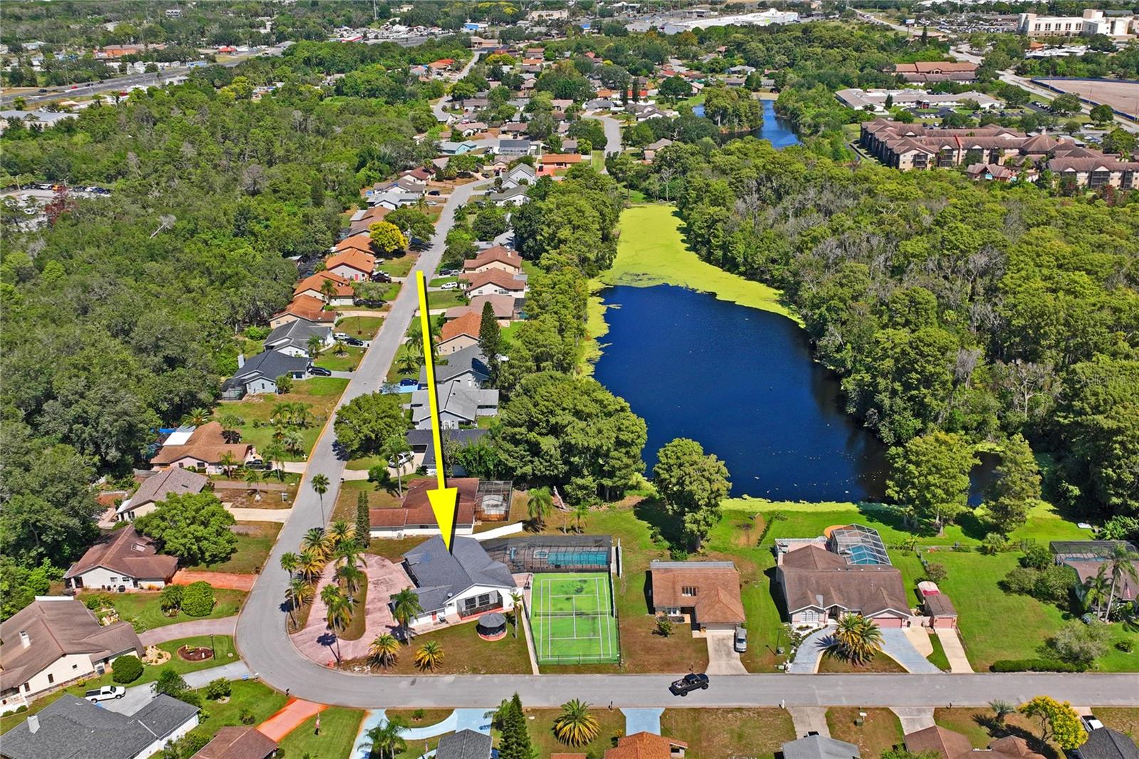 W7879396