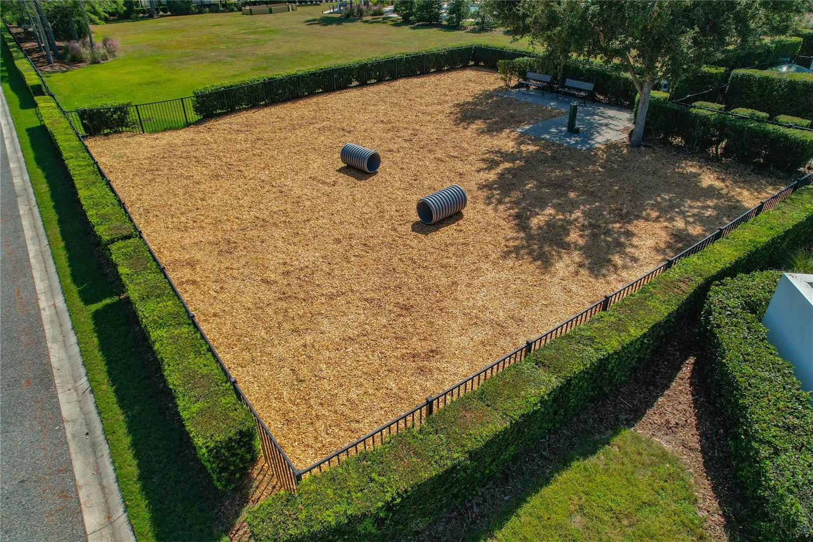 Dog Park