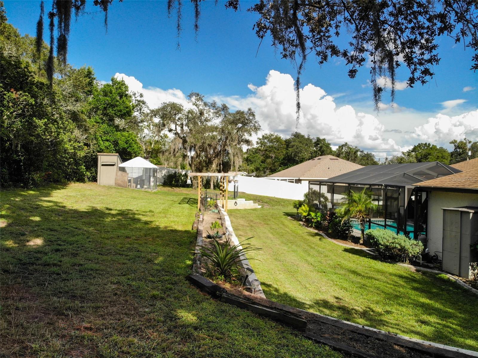 Backyard