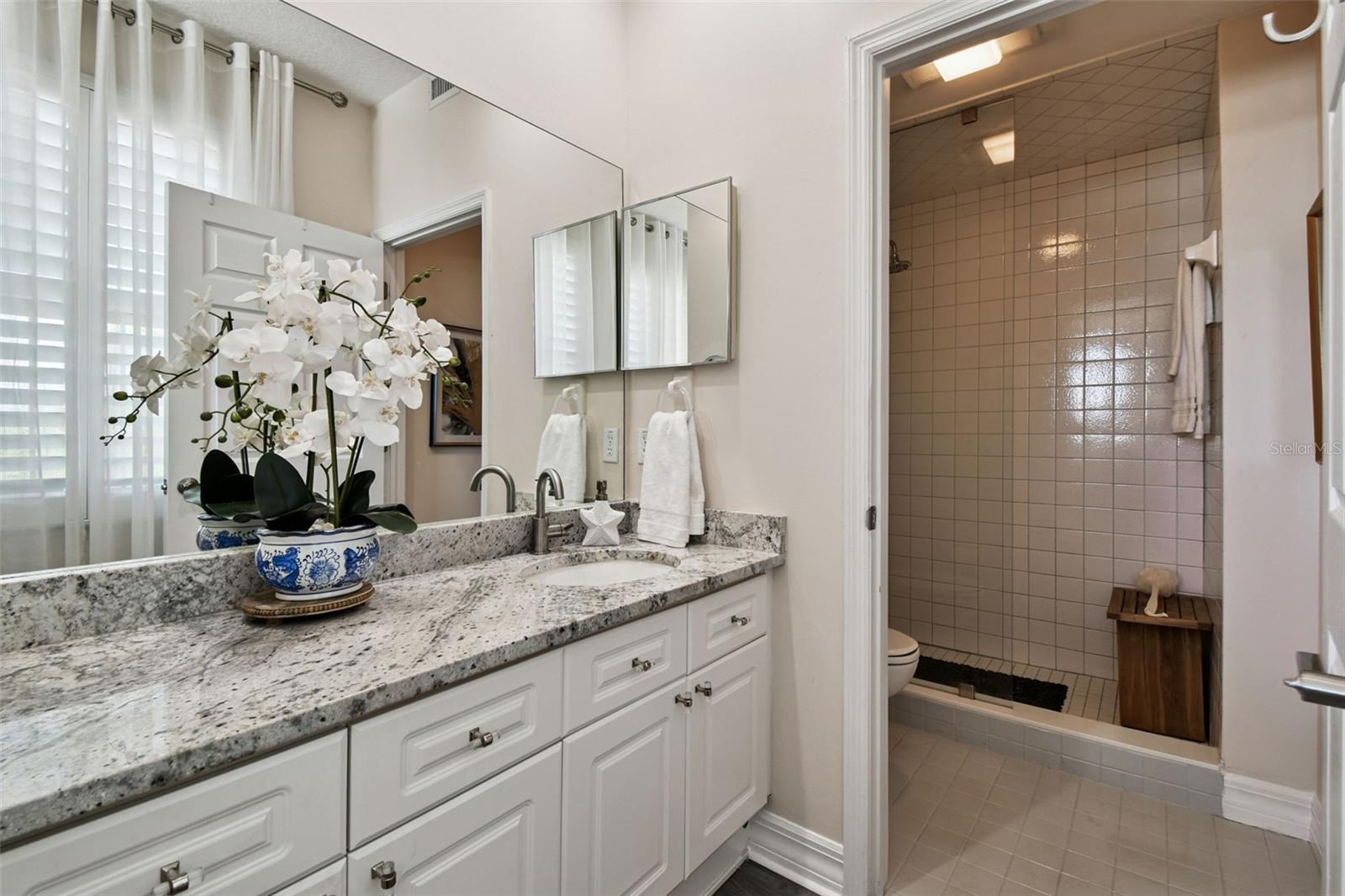 Updated Primary ensuite