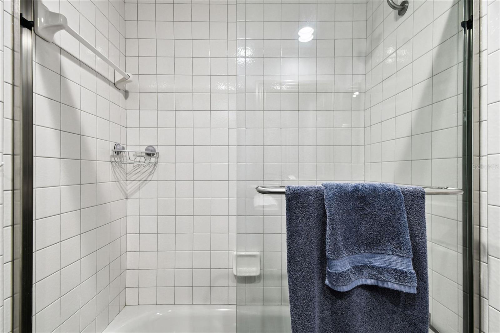 Guest bath shower/tub combo