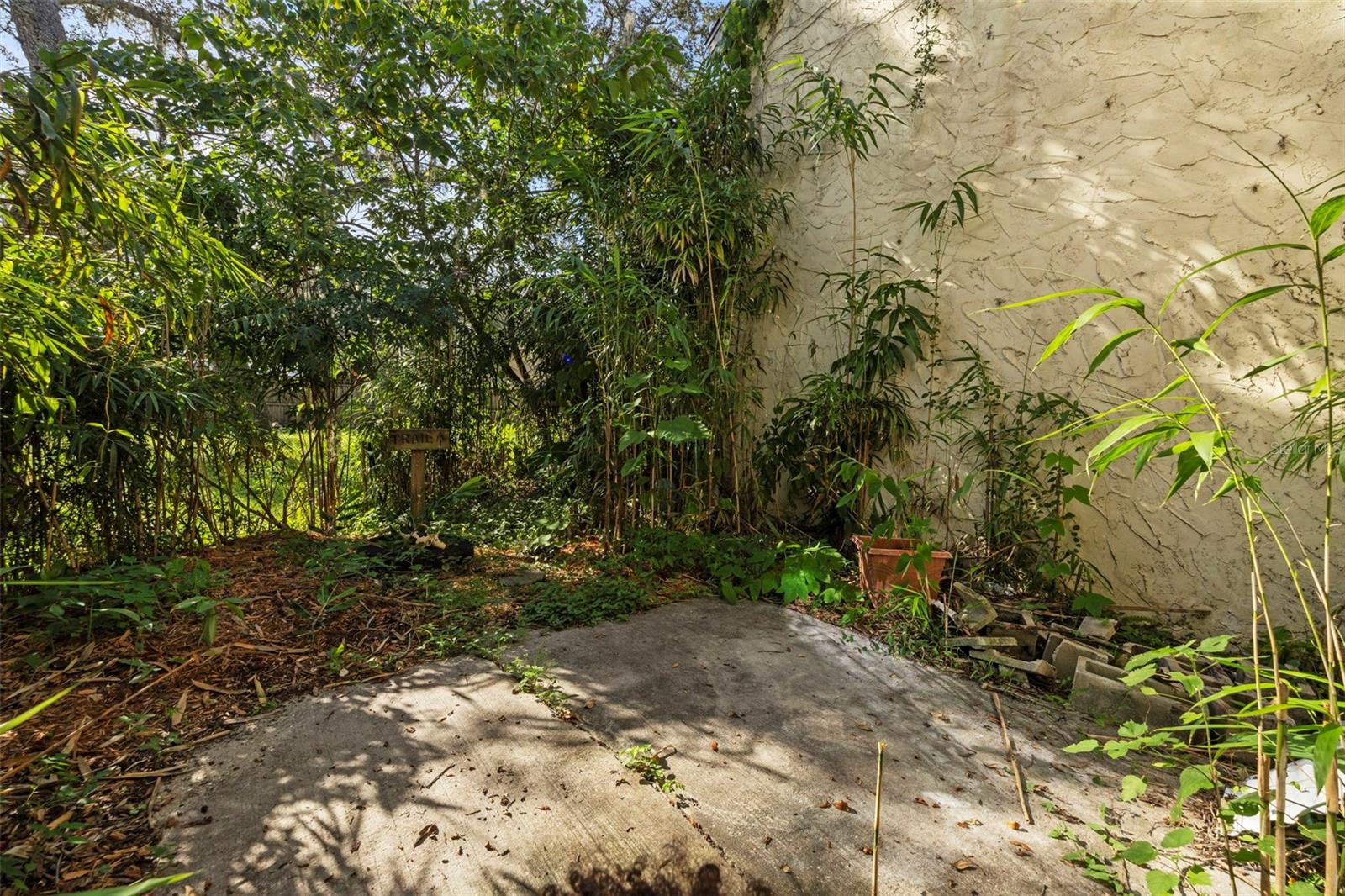Private Backyard!