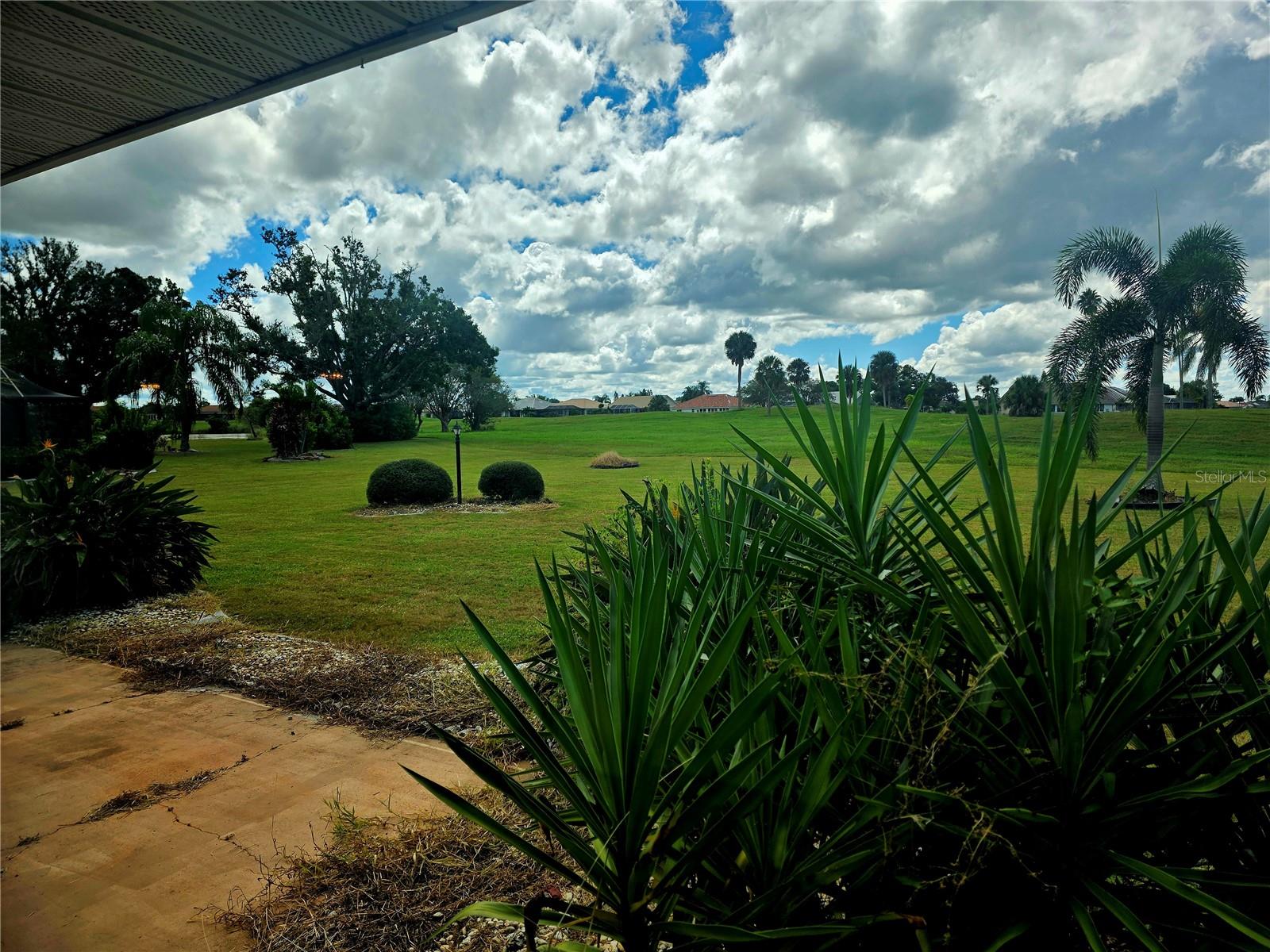 View of backyard