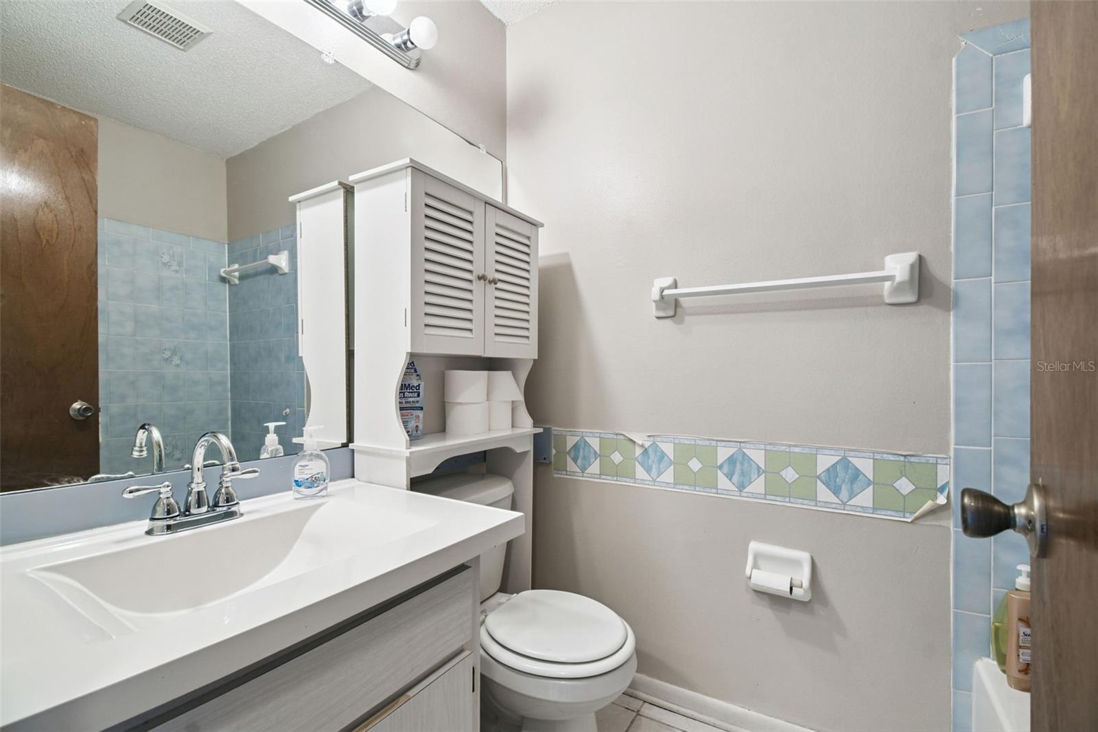 Hall Bathroom