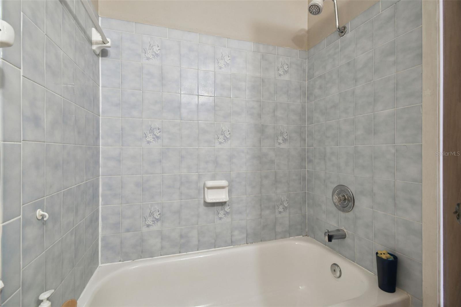 Hall Bathroom