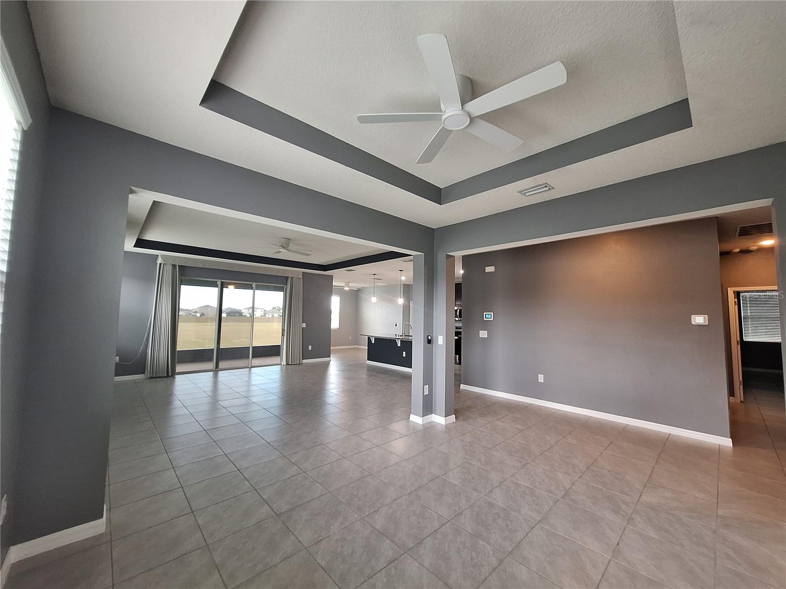 Stunning Tray Ceilings- Formal Dining Room