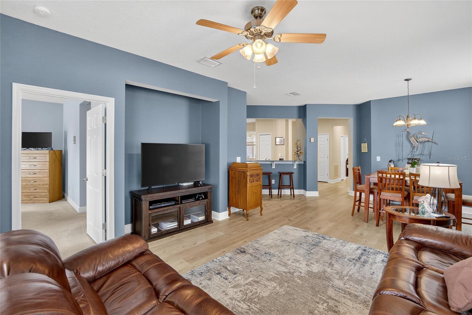 Living Room Voew