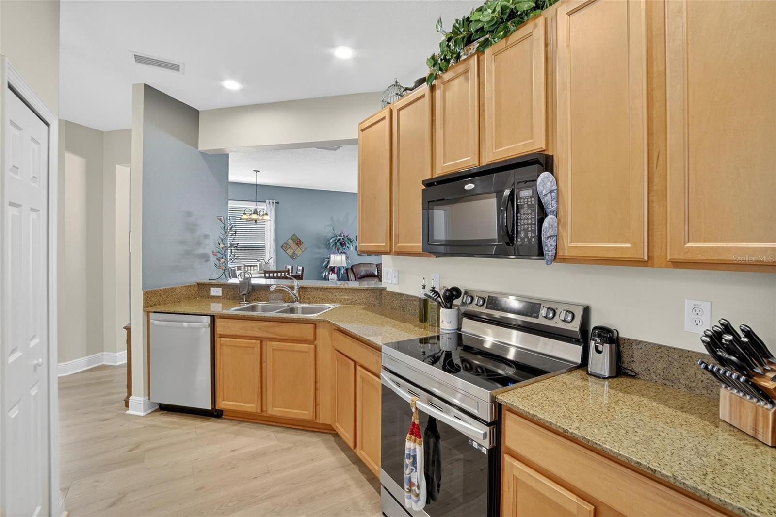 Kitchen View