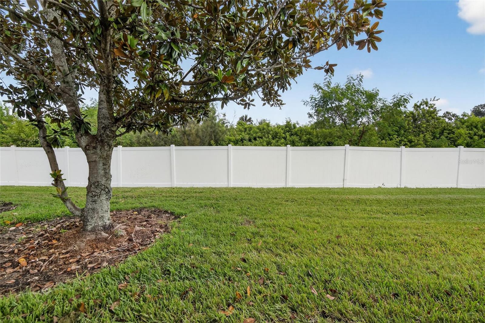 Rear Lawn View