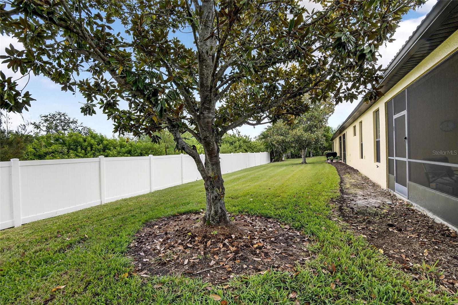 Exterior Rear