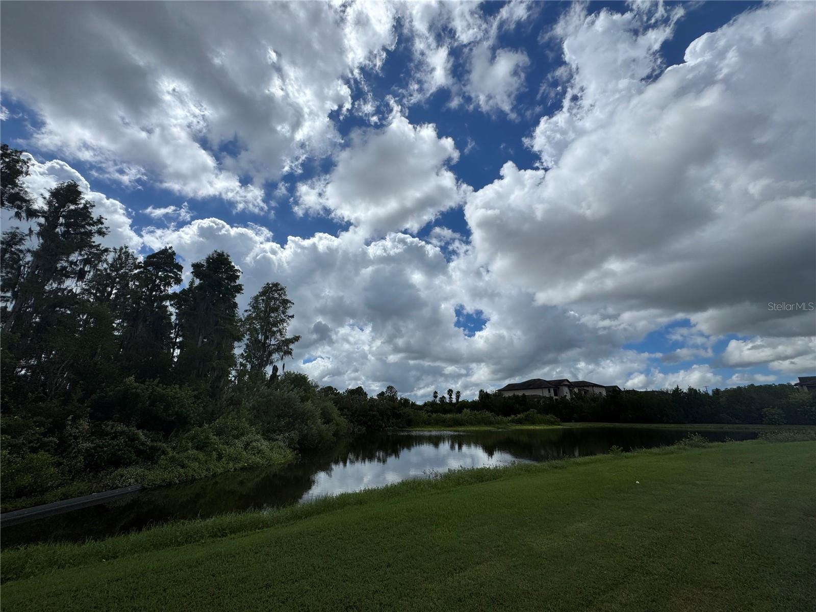 Gorgeous views from screened in patio.