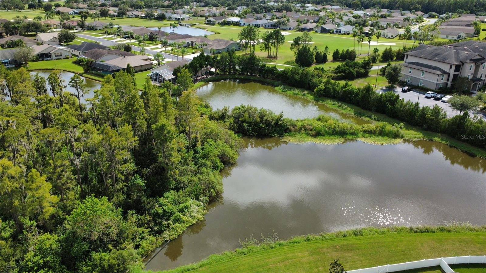 Aerial views of your backyard.