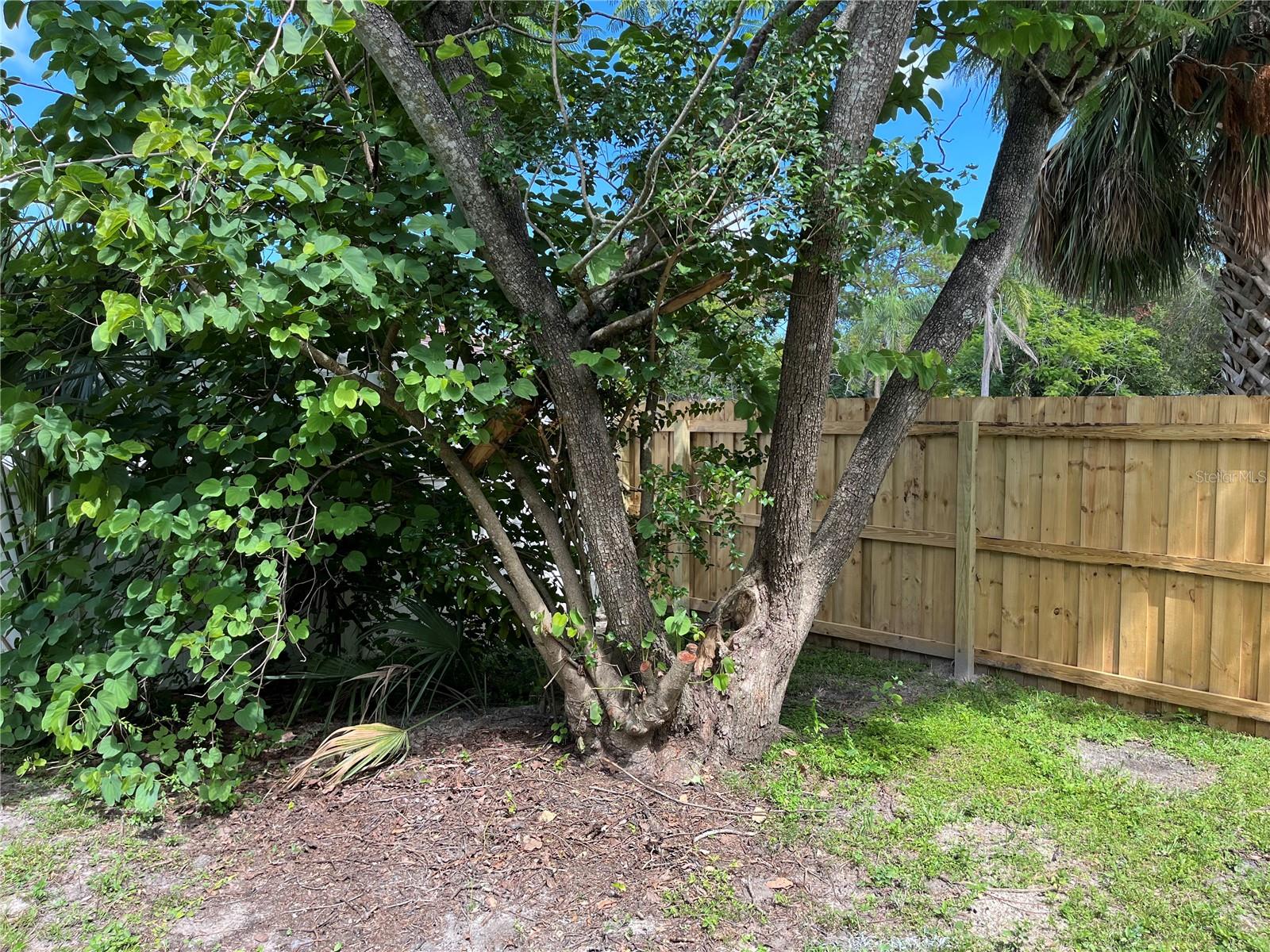 FULLY FENCED YARD