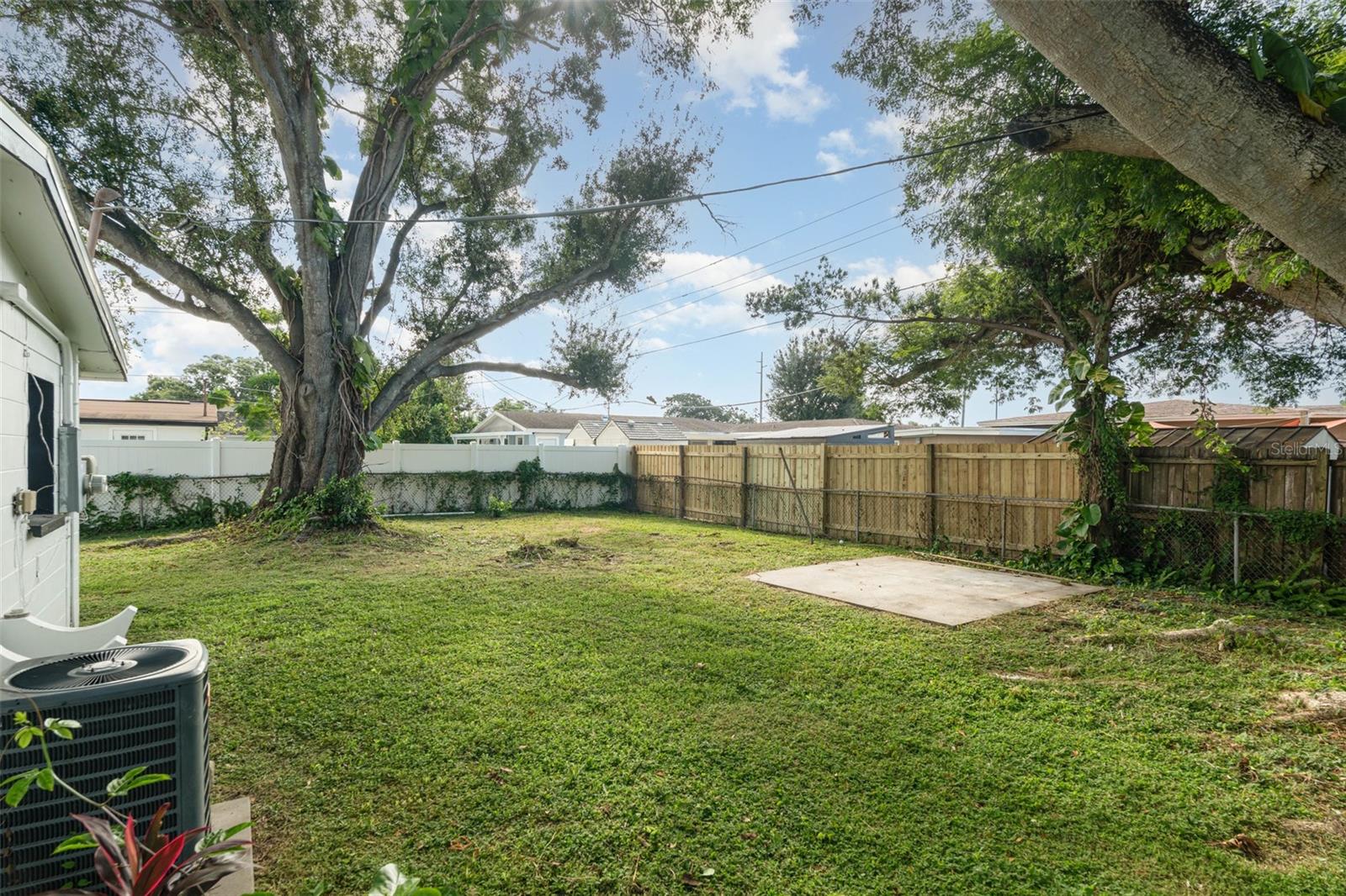Backyard