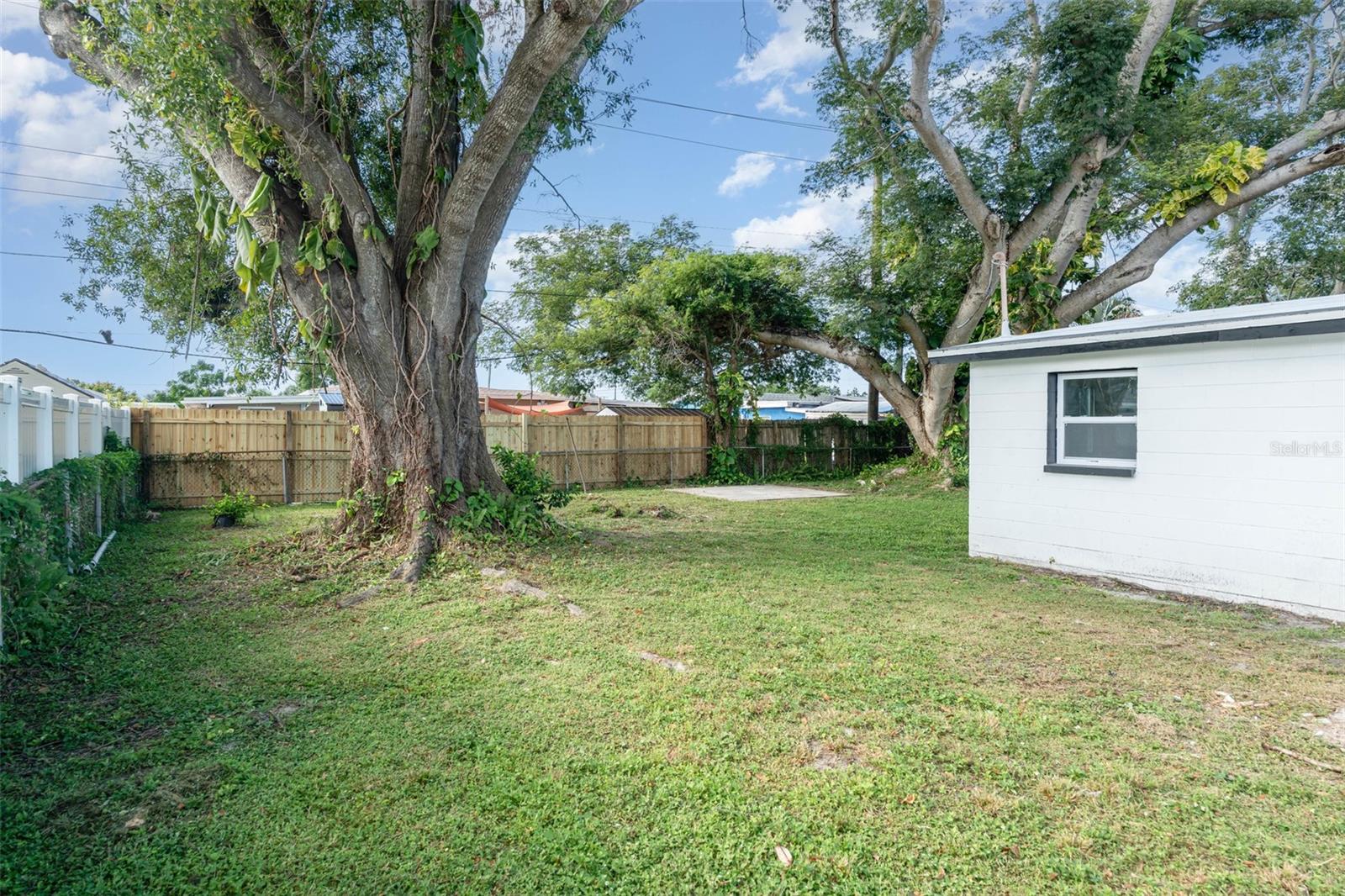 Side Yard