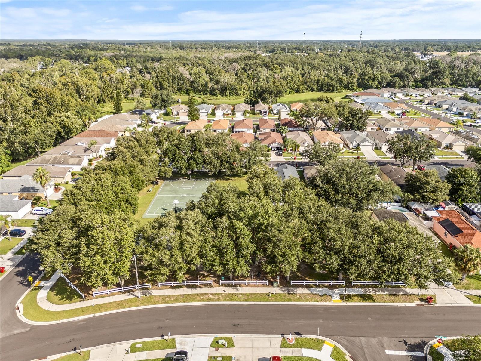 drone photos