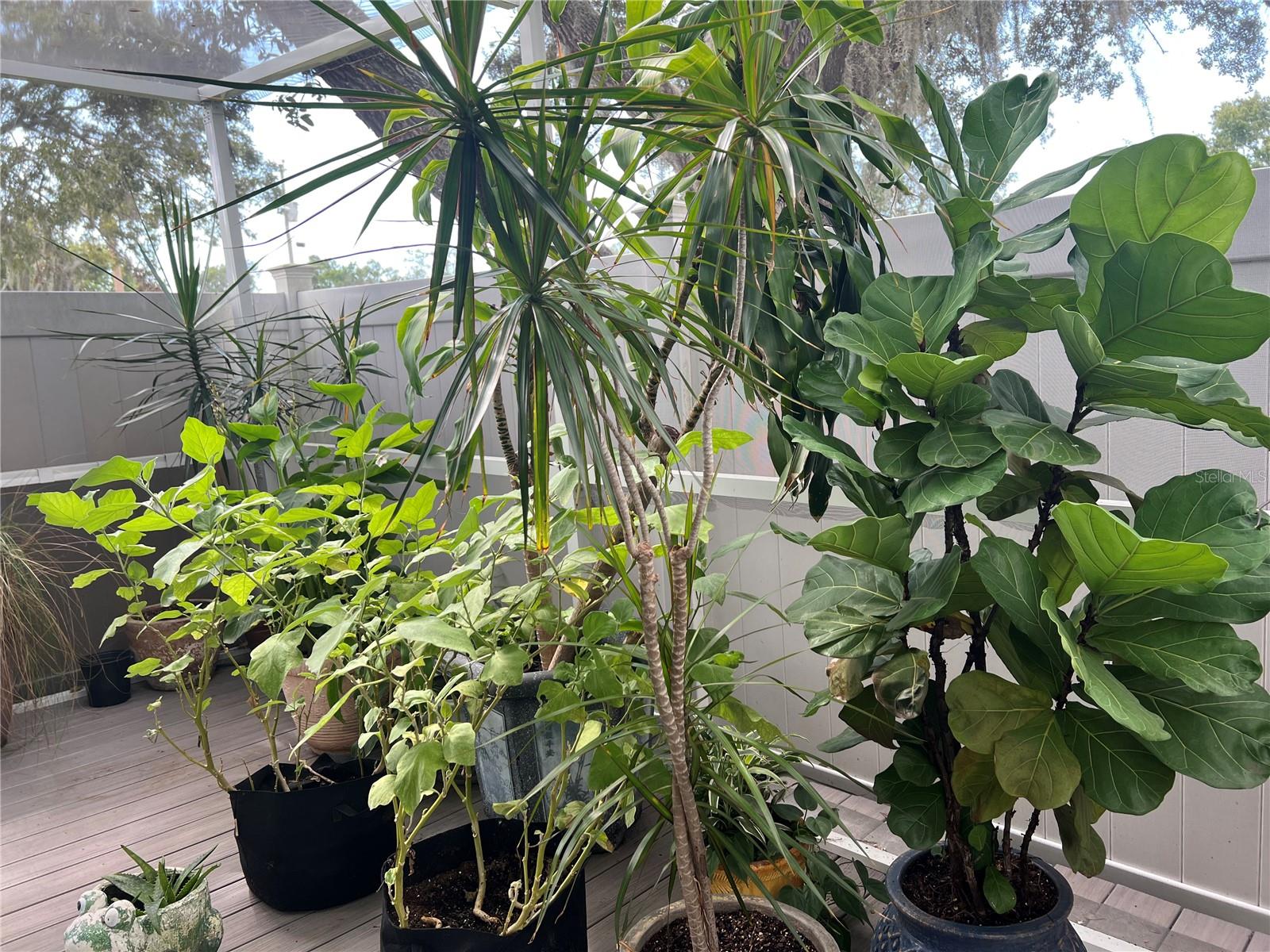 PLANT AREA