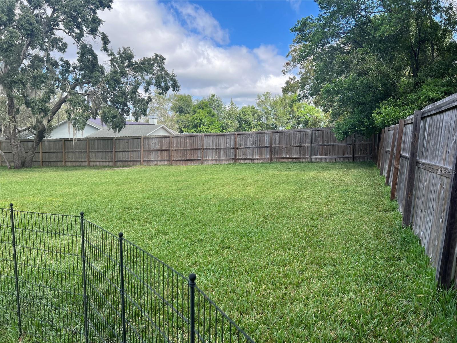 BACK YARD