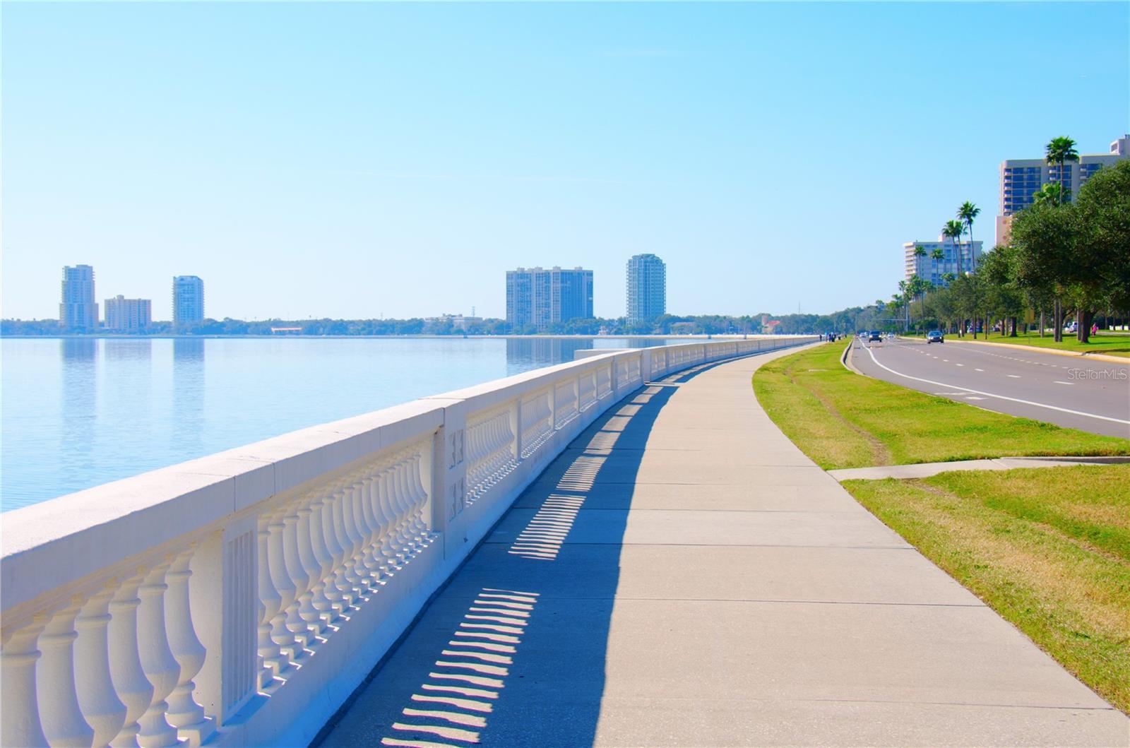Bayshore Blvd - Just a few steps away!