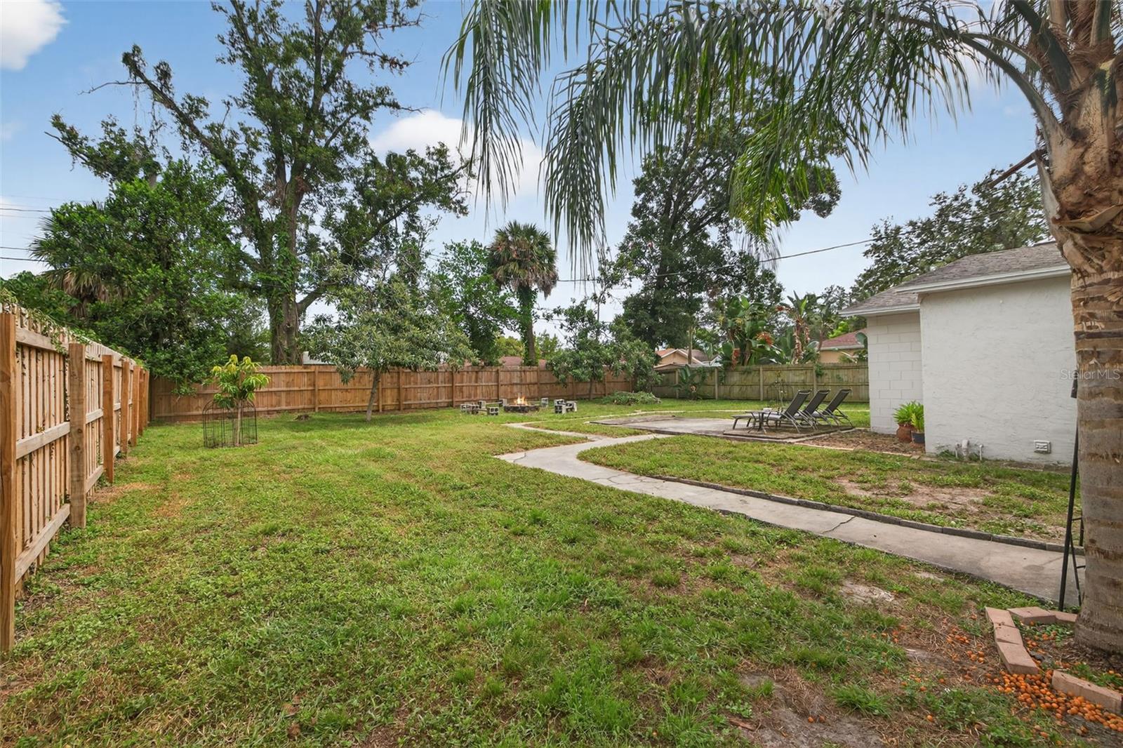 Backyard