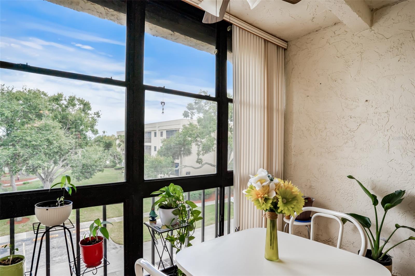 Screened in Balcony