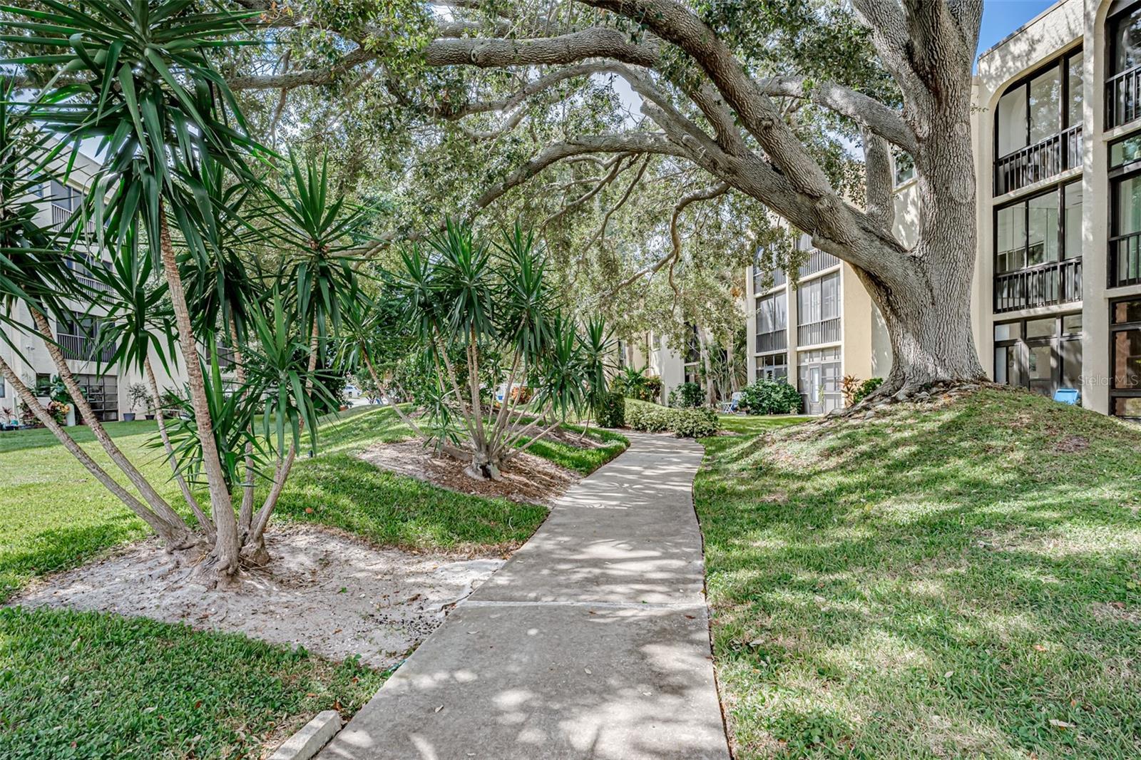 Walkway to the Lake