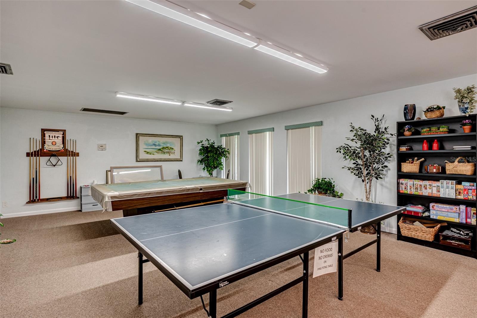 Ping Pong Table